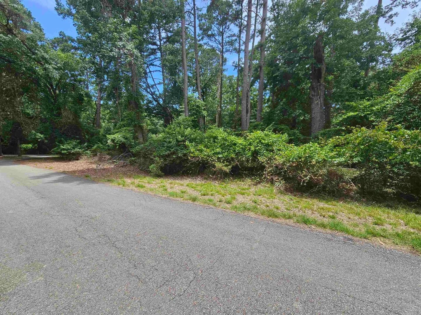 Vacant Land in Holly Lake Ranch - Holly Lake Ranch, Texas, 75765