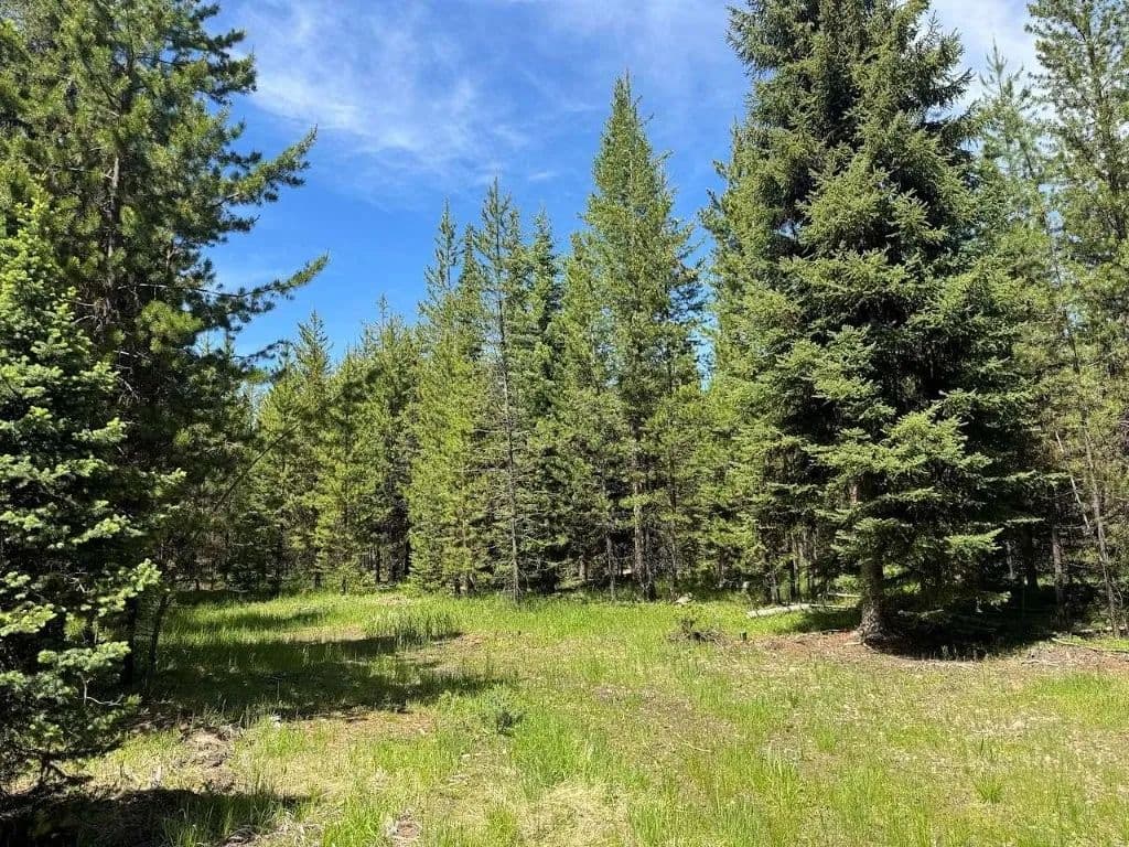 Property from 7930 Boy Scout Road - KW - Seeley Lake, Montana, 59868