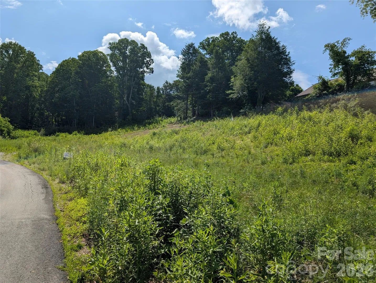 Property from 119 Randolph Avenue - KW - Black Mountain, North Carolina, 28711
