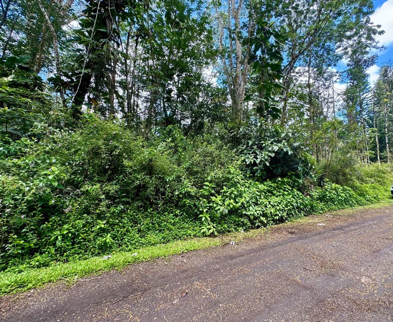 0.18 Acres of Land for Sale in Pahoa, HI - Pahoa, Hawaii, 96778