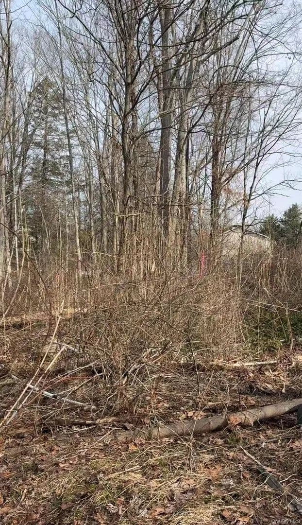 Property from 19 & 25 Clearbrook Drive - KW - Mahopac, New York, 10541