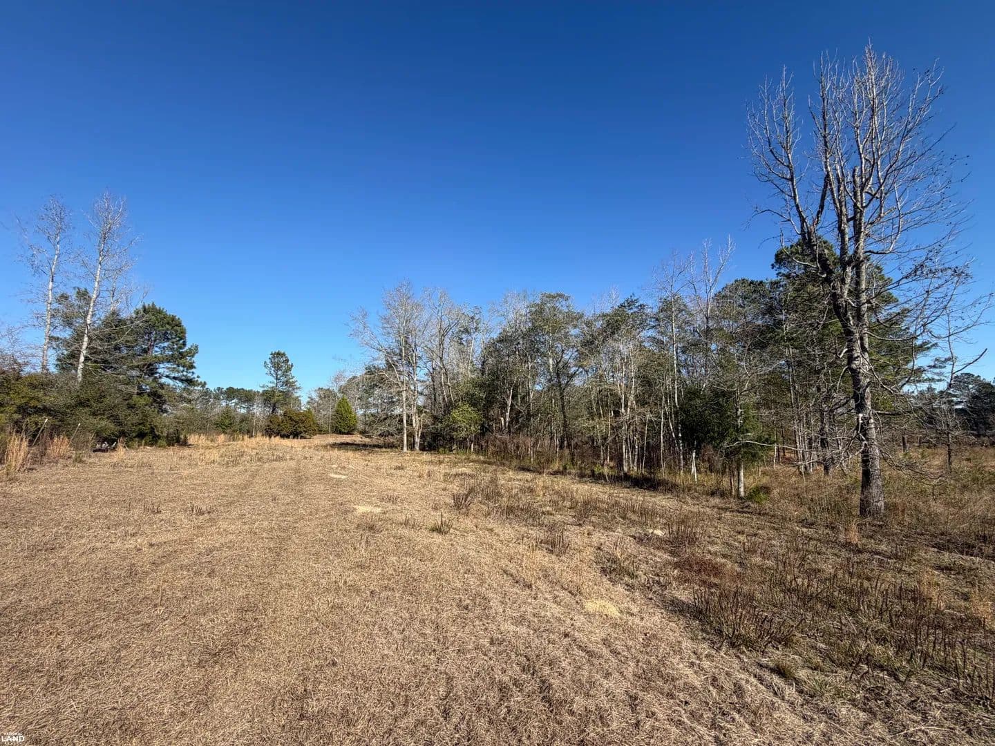 New Brockton Rural Homesite & Recreational Tract - New Brockton, Alabama, 36351