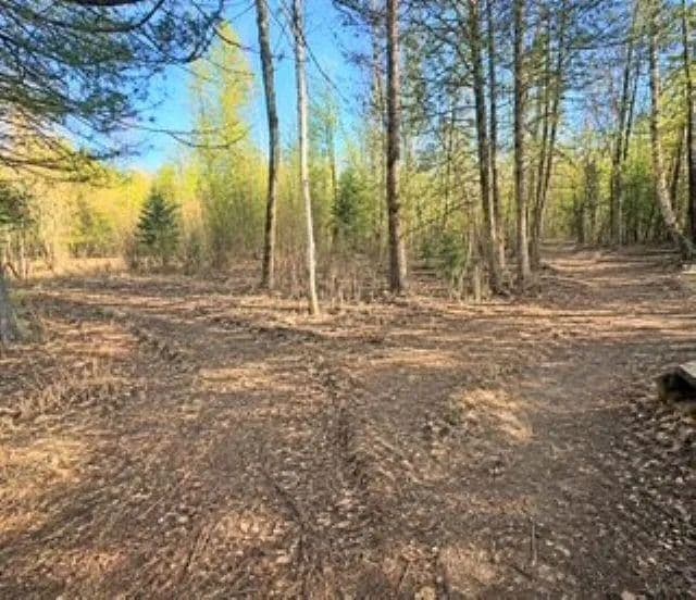 Property from 12.5 Road - KW - Wallace, Michigan, 49893