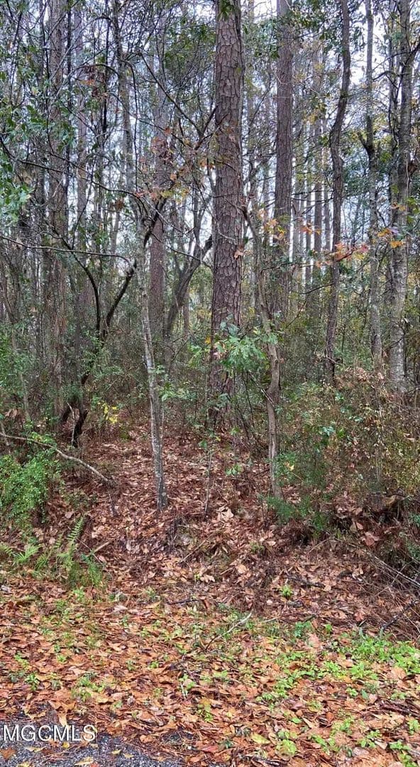 Lots & Land-Other in Ocean Springs - Ocean Springs, Mississippi, 39564