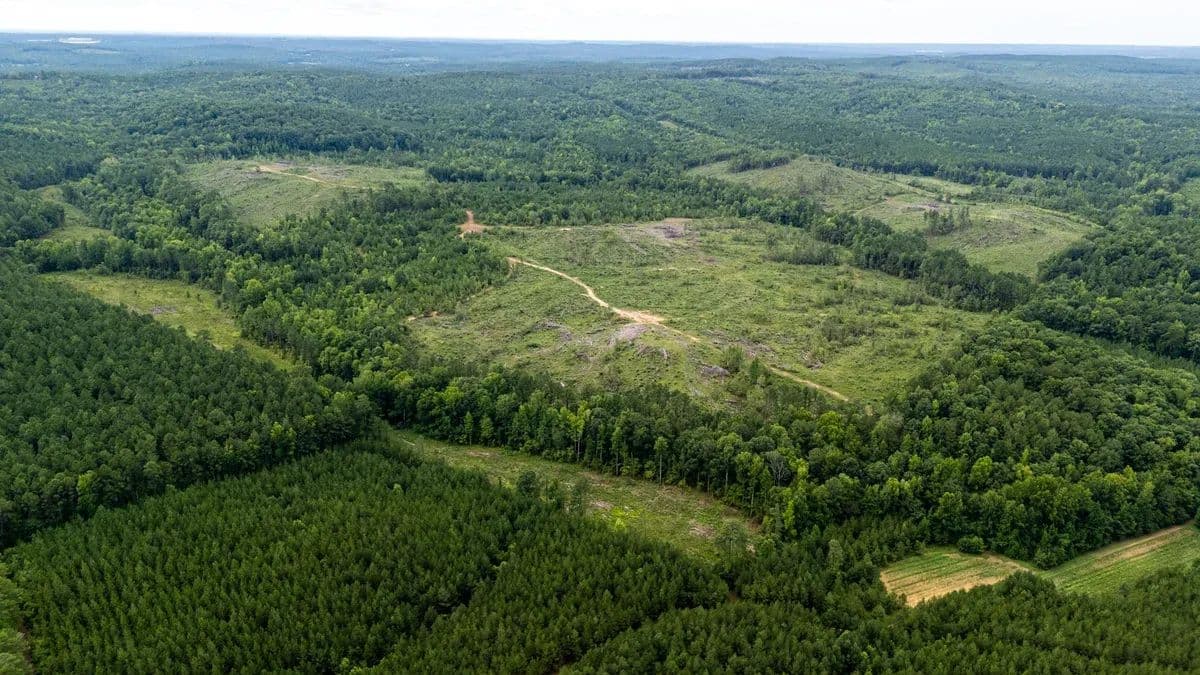 Frutchey Tract - Ellerbe, North Carolina, 28338