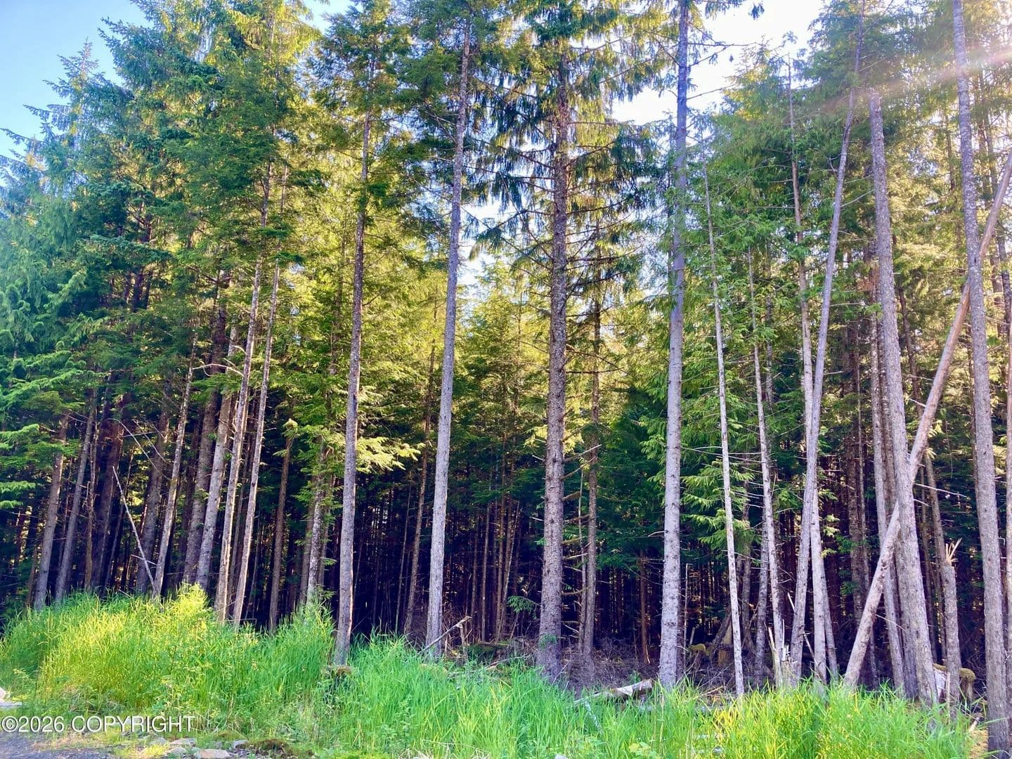 1.55 Acres of Land for Sale in Coffman Cove, AK - Coffman Cove, Alaska, 99918