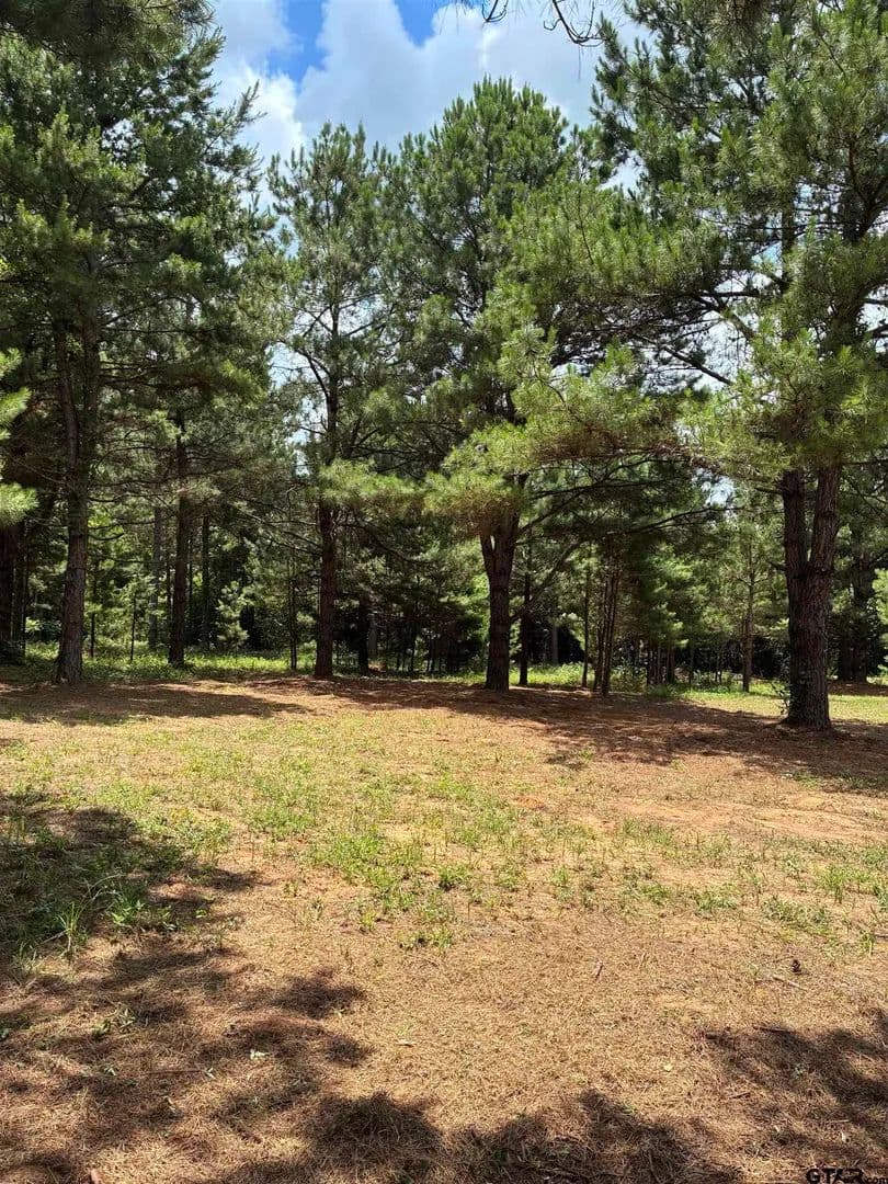 Property from 23655 CR 244 #23655 CR 244 - KW - land for sale
