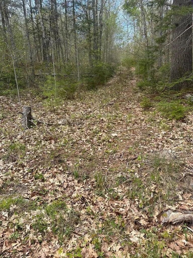 6.01 Acres of Land for Sale in Steuben, Maine - Steuben, Maine, 04680