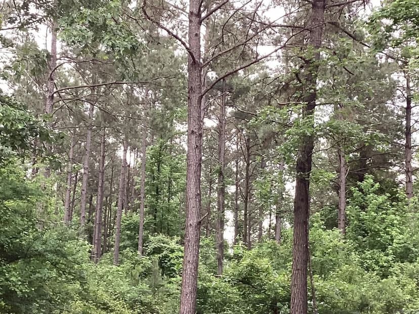 Property from 00 Hwy 24 - KW