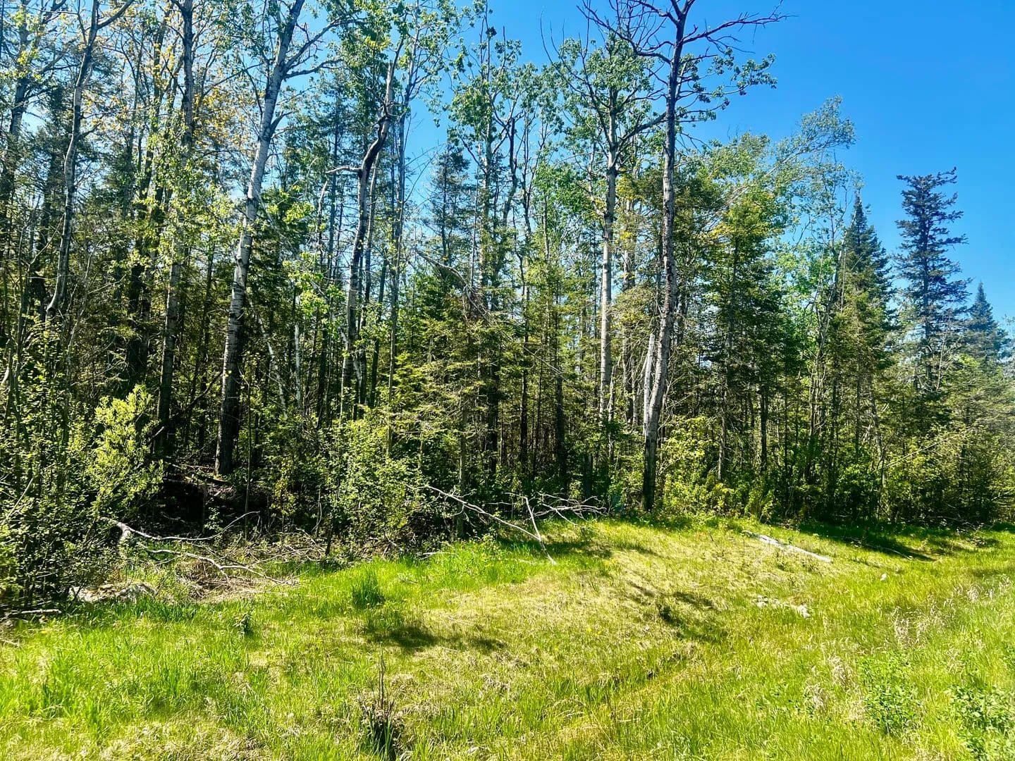 Vacant Land in Cheboygan - Cheboygan, Michigan, 49721