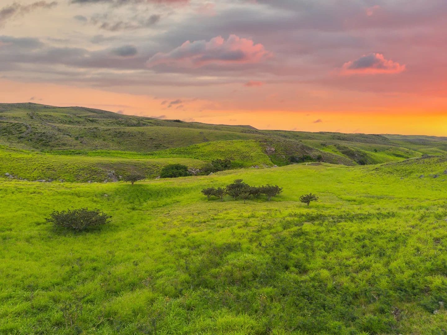 12.4 Acres of Land for Sale in Kamuela, Hawaii - Kamuela, Hawaii, 96743