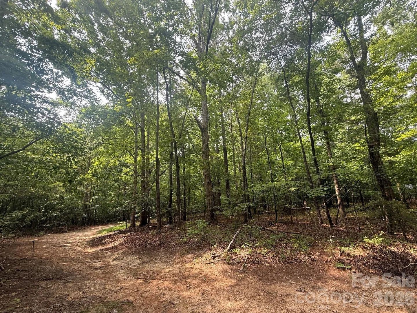 Property from 0 S Lineberry Street - KW - Troy, North Carolina, 27371