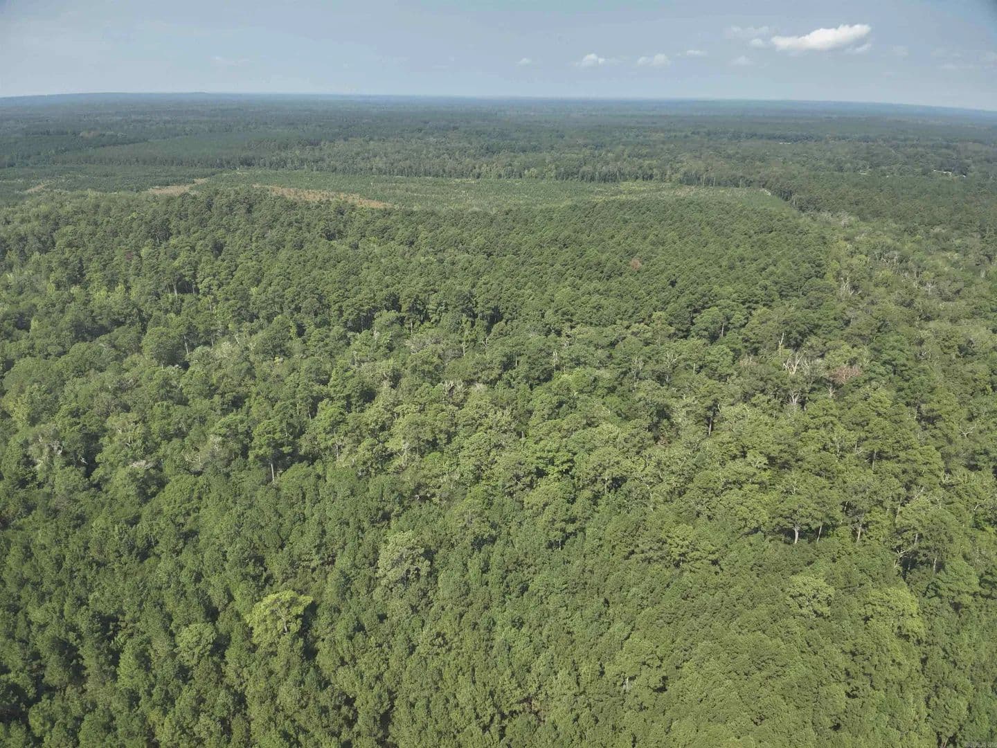 Property from 56 Field - KW - Camden, Arkansas, 71701