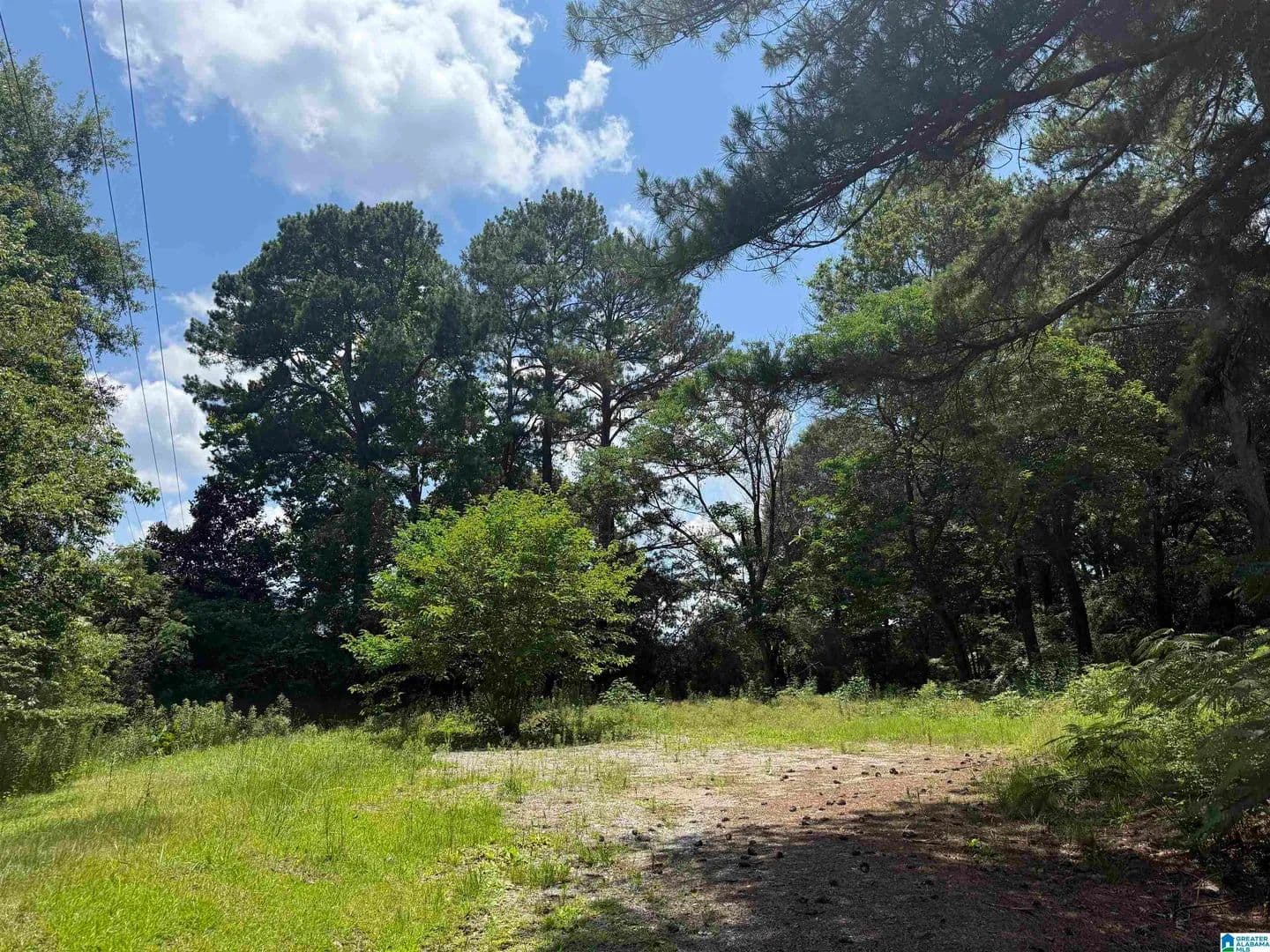 Property from 141 HIGHWAY 231 #1.5 - KW - Vincent, Alabama, 35178