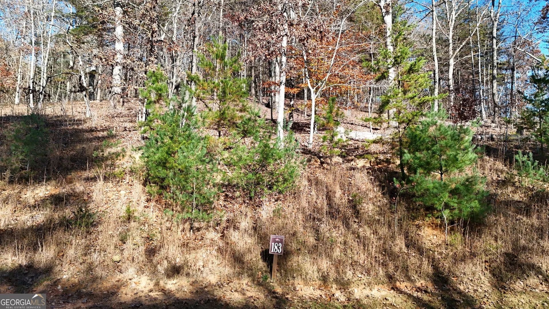 Property from LOT 183 Northshore Drive - KW - Cleveland, Georgia, 30528