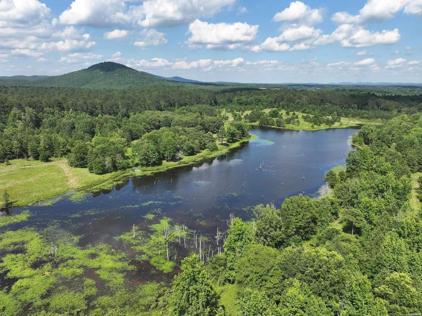Property from XXX N BUMBLE BEE Road - KW - Glenwood, Arkansas, 71943