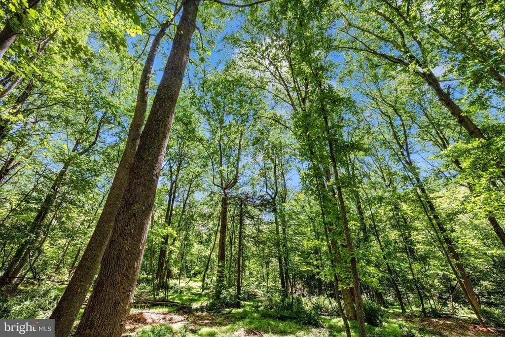 9.17 Acres of Land for Sale in Knoxville, Maryland - Knoxville, Maryland, 21758