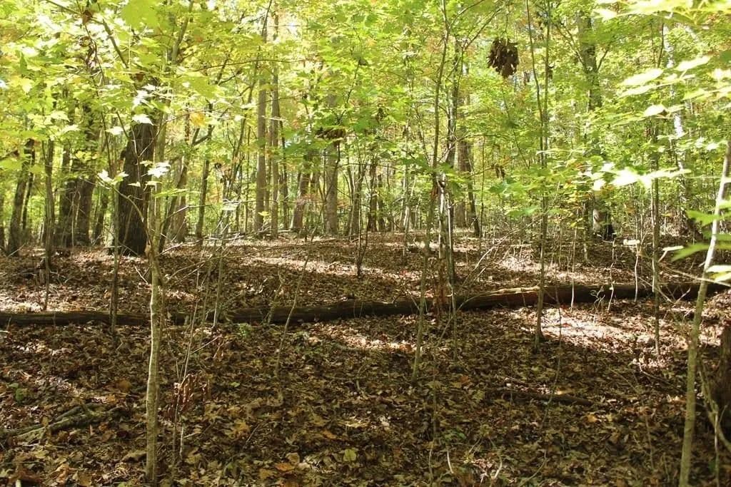 Lots & Land-Other in Hayesville - Hayesville, North Carolina, 28904