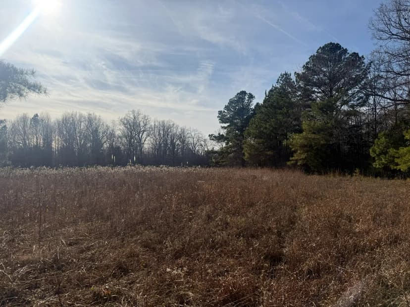 49 Acres in Fayette County, TN