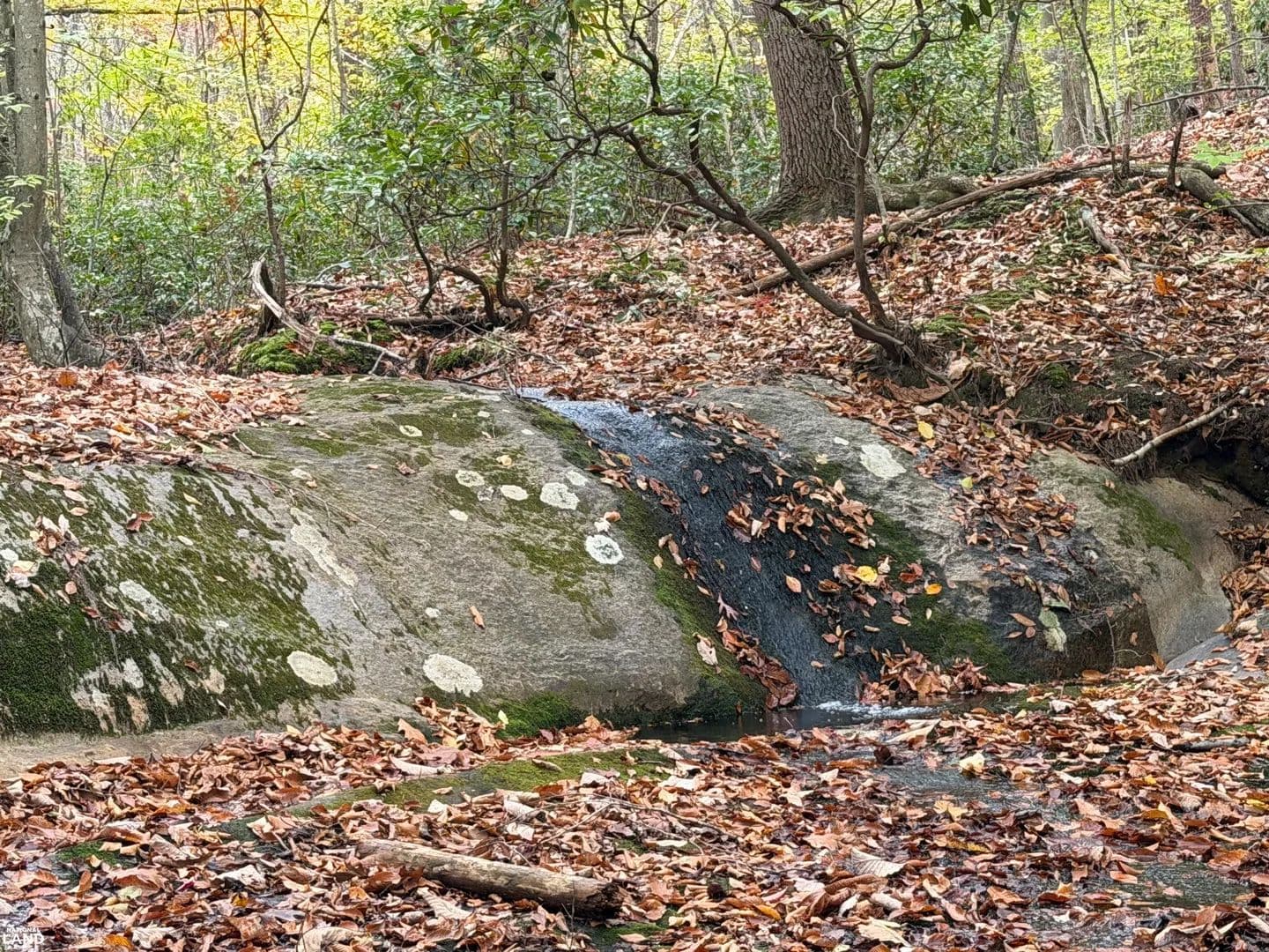 Beautiful Mountain Property with Year-Round Creek - Shipman, Virginia, 22971