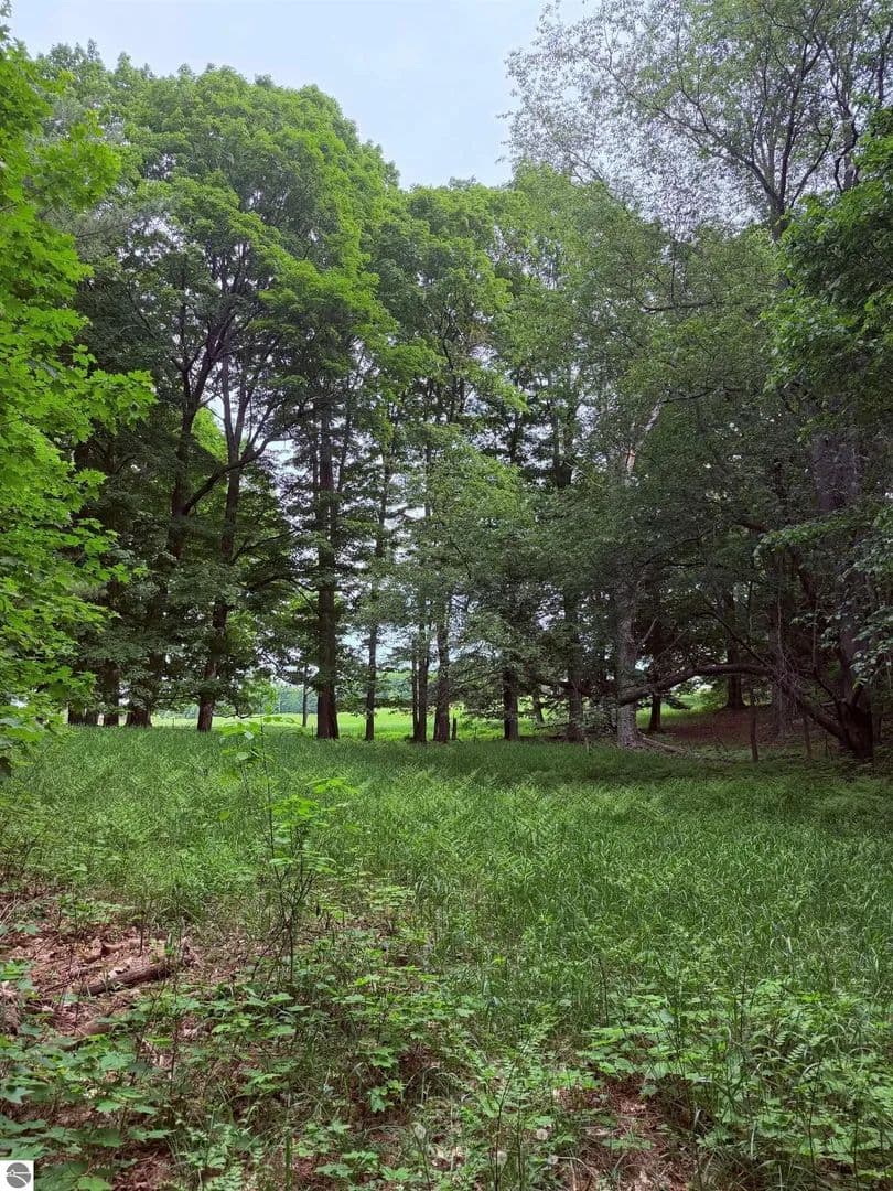 Property from unit 11 Kadi Lane - KW - Lake Ann, Michigan, 49650