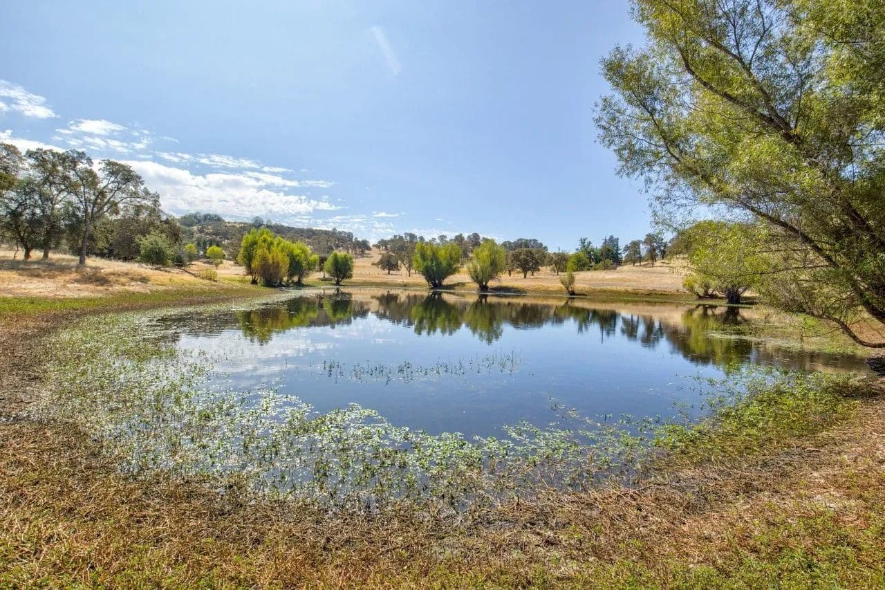 Rocking Bar M Ranch - land for sale