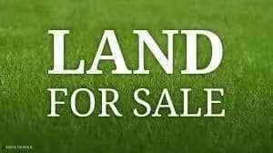 Property from 300 W Blk Ridge Road - KW - Lafayette, Louisiana, 70506