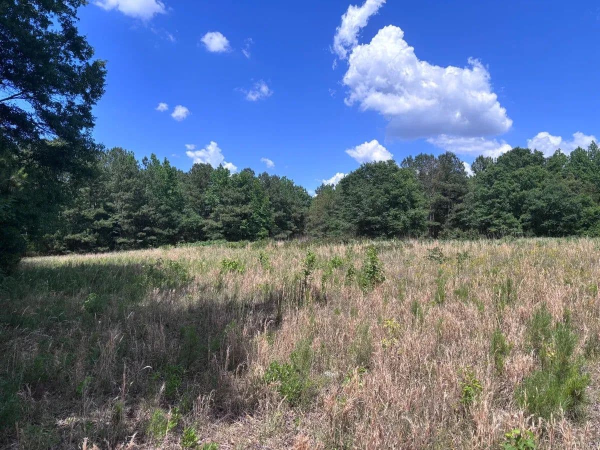 Cane Mill Road Tract - Lancaster, South Carolina, 29720