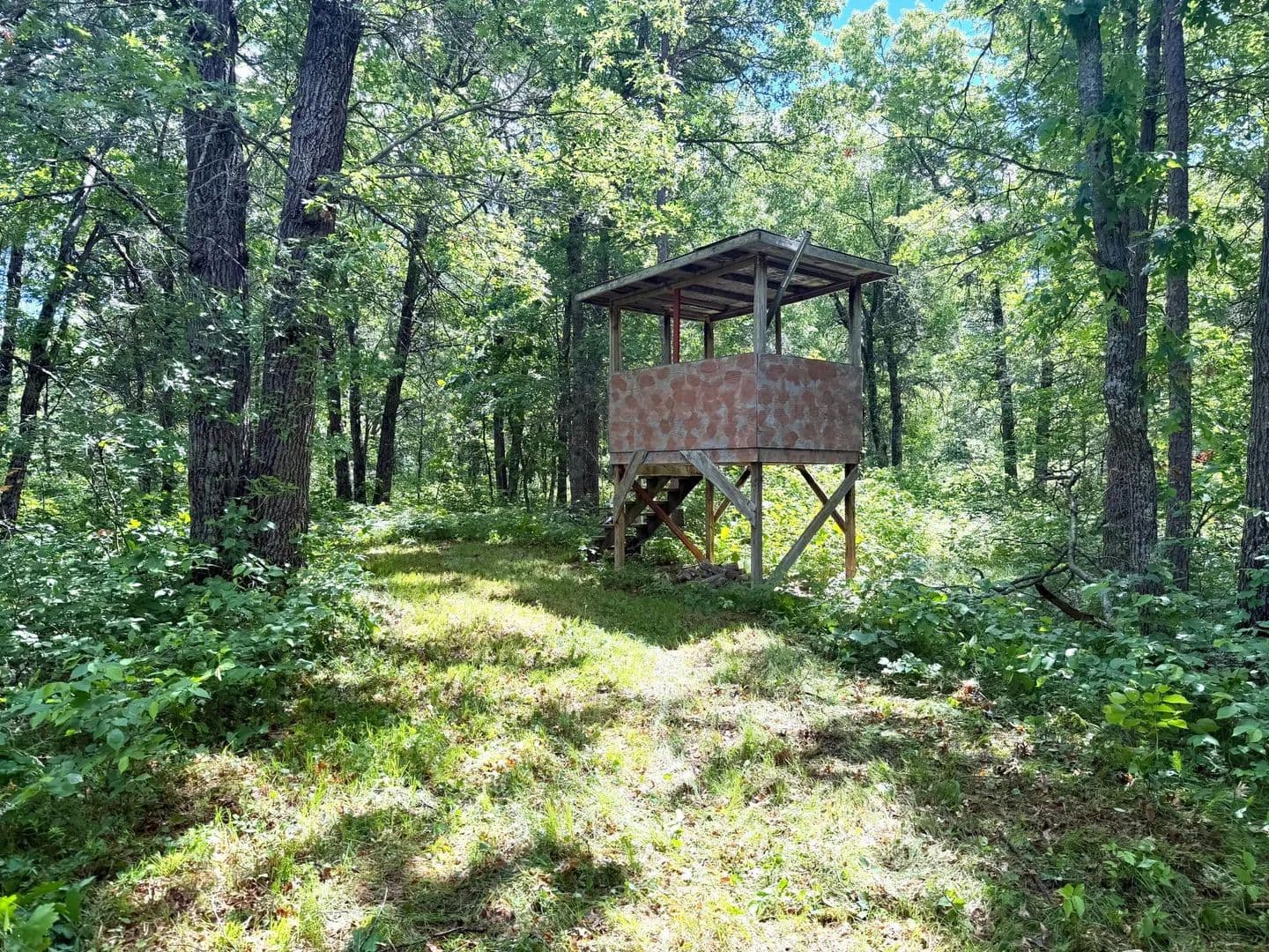 39.45 Acres of Land for Sale in Danbury, Wisconsin - Danbury, Wisconsin, 54830