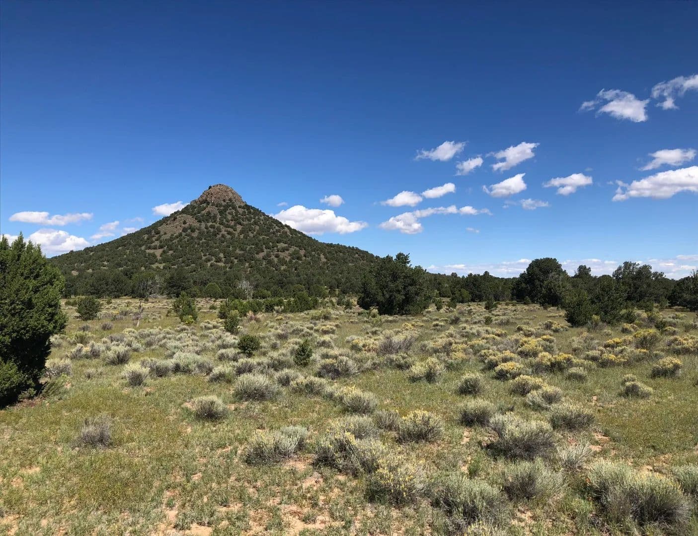 Mujeres 45 Hunting Camp - Fence Lake, New Mexico, 87315