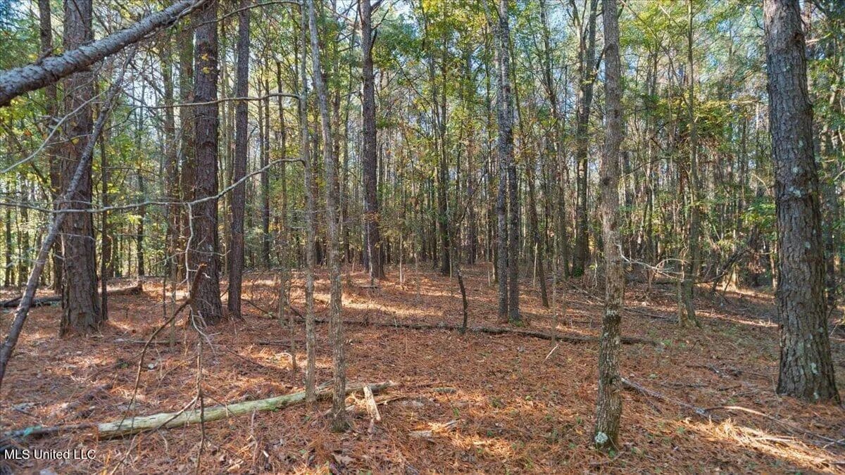 Property from Jimmie Drive - KW - Forest, Mississippi, 39074