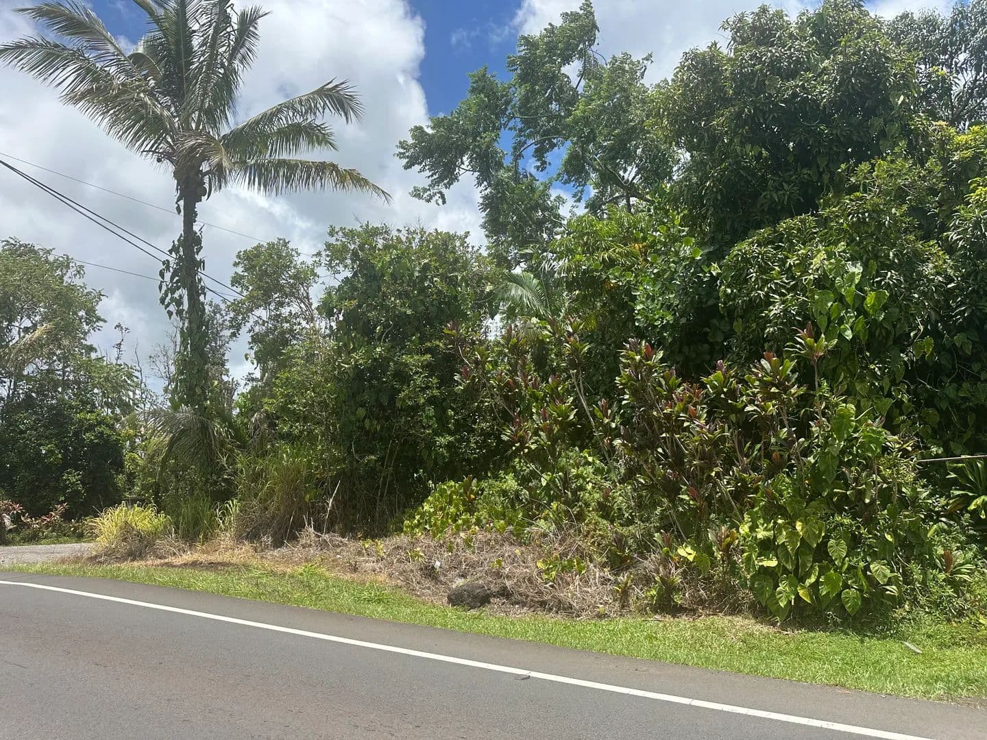 0.2 Acres of Land for Sale in Keaau, Hawaii - Keaau, Hawaii, 96749