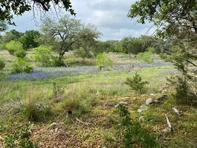 Property from 1365 Pedernales Hills Dr #27 - KW - Johnson City, Texas, 78636