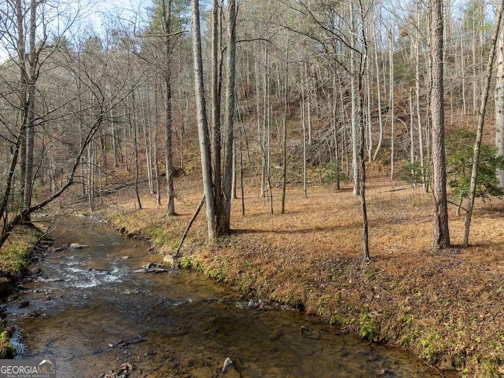 20.73 Acres of Land for Sale in Ellijay, Georgia - Ellijay, Georgia, 30540