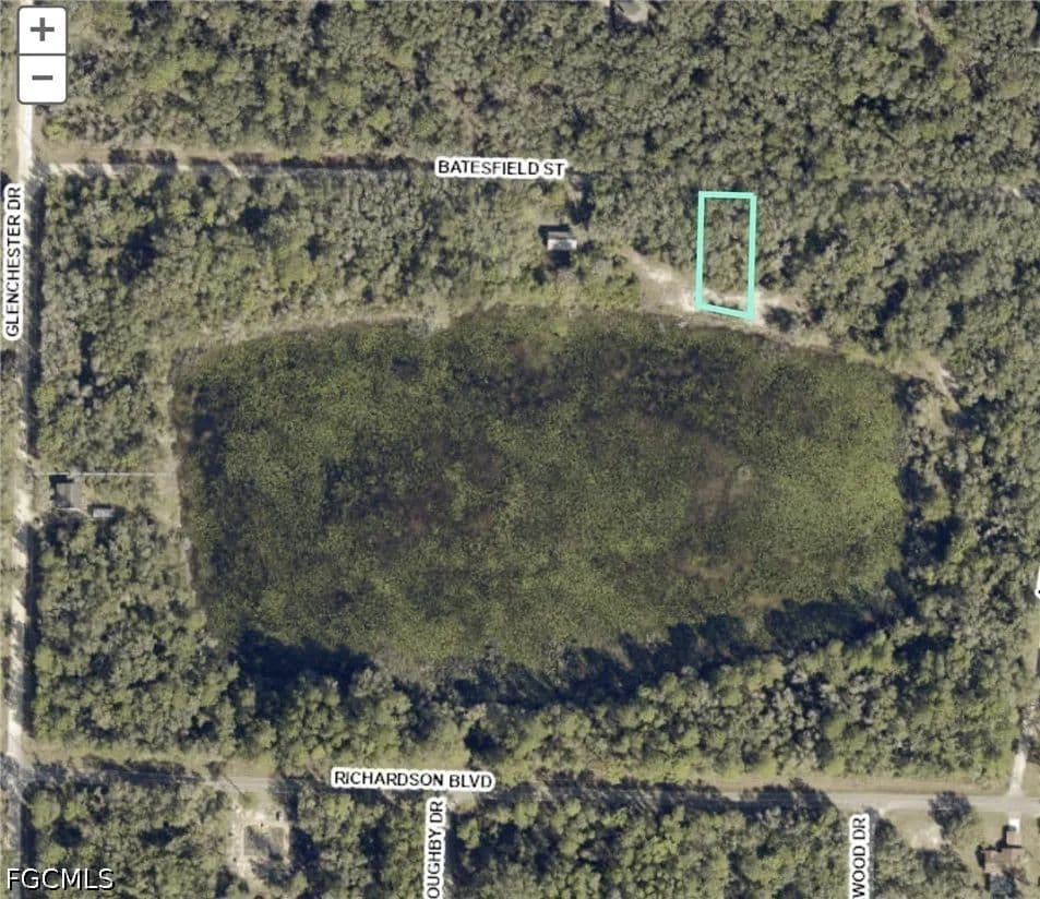 0.32 Acres of Land for Sale in Webster, FL - Webster, Florida, 33597