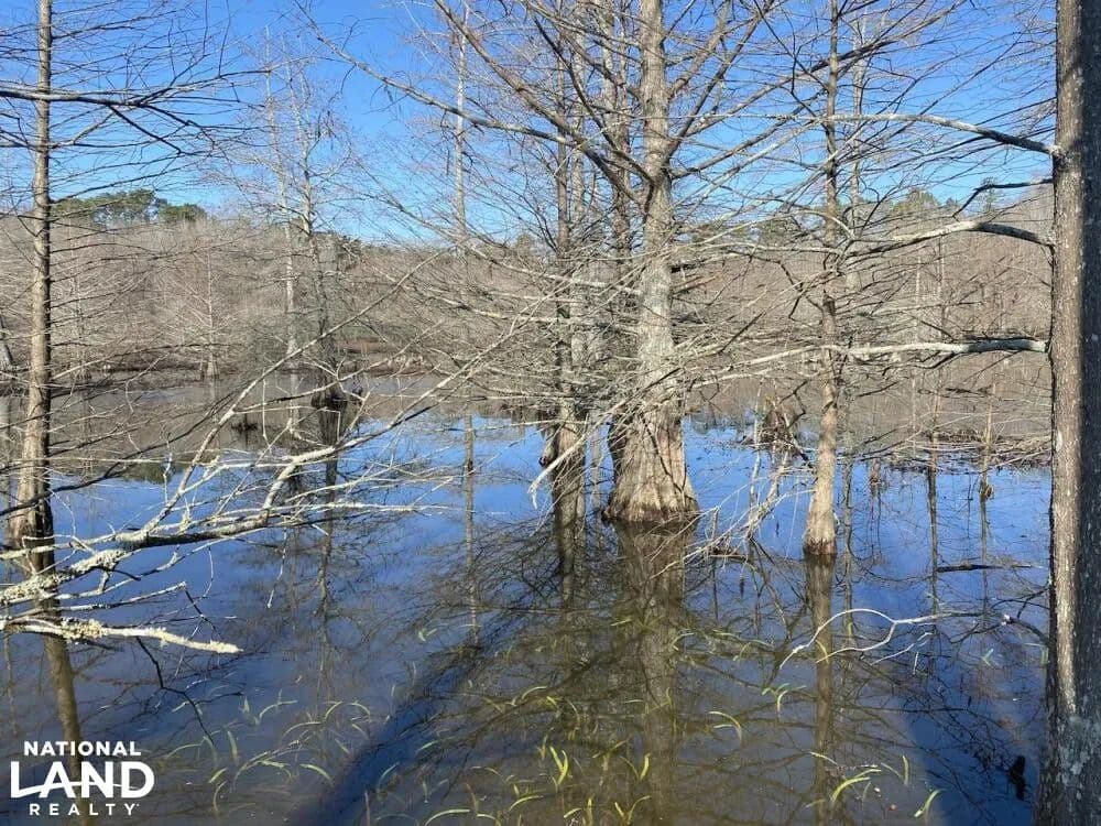 Feather Hill Tract - Rowell, Arkansas, 71665