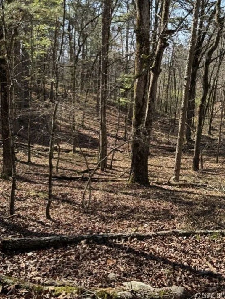 Property from TBD Wagon Wheel Terrace - KW - Hot Springs, Arkansas, 71913