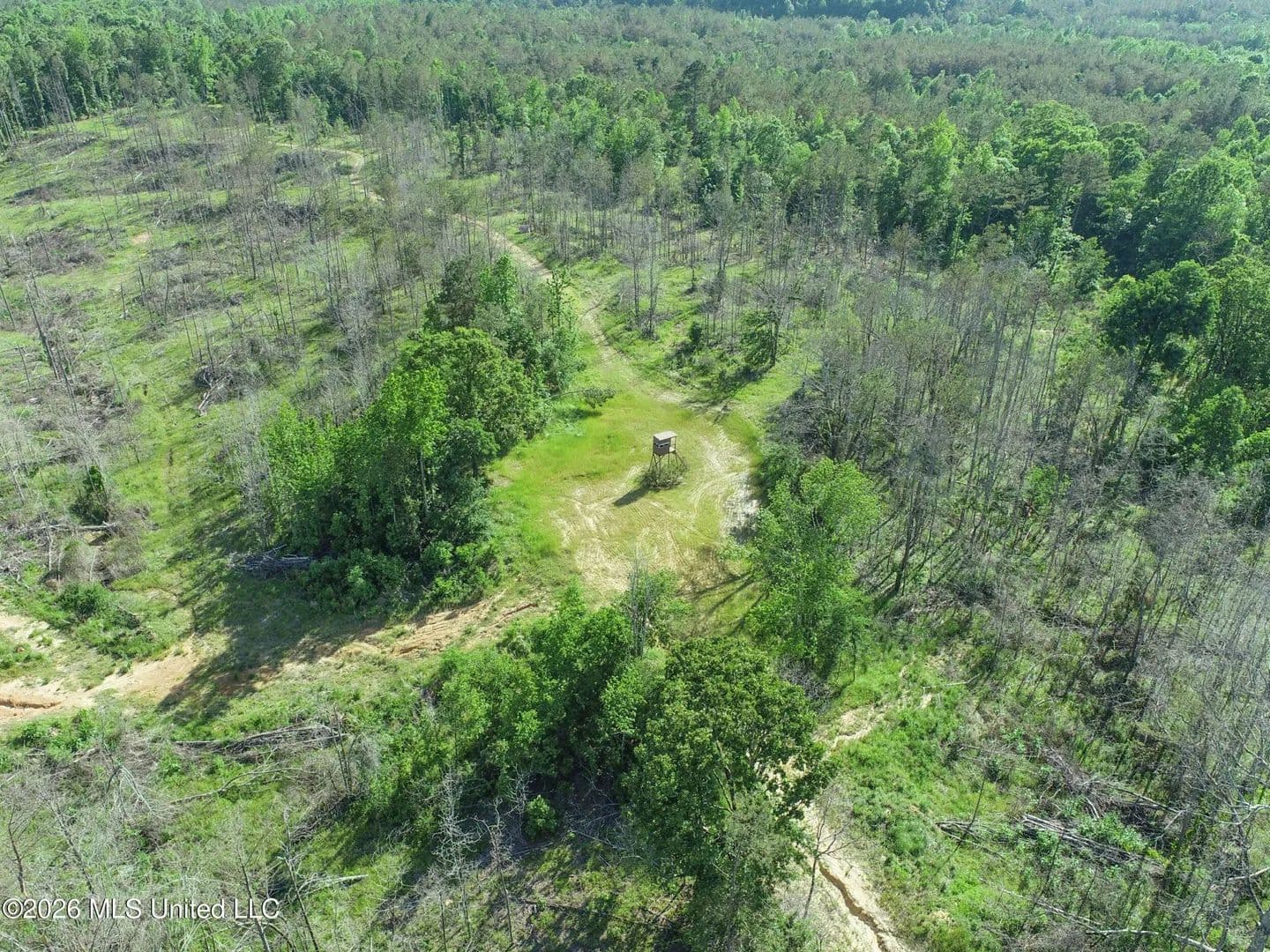 Property from Wayne Massie Road - KW - Como, Mississippi, 38619