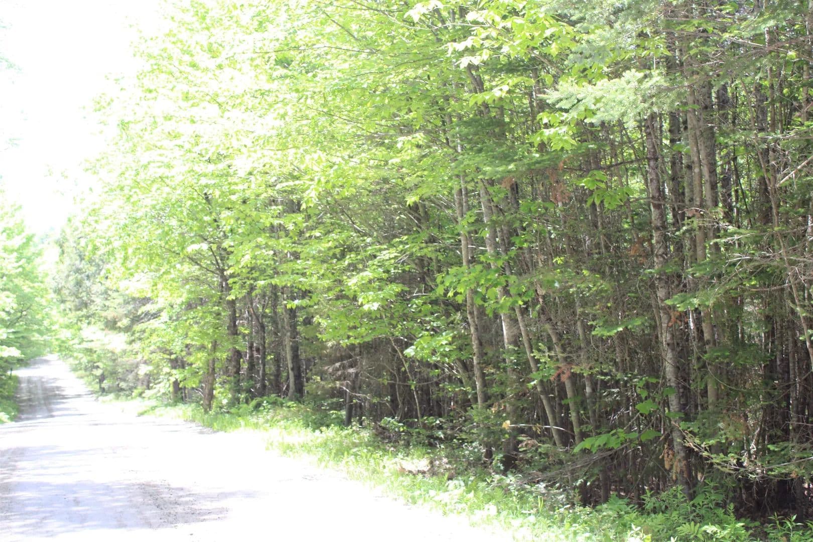 Property from Leonard Hill - KW - Concord, Vermont, 5824