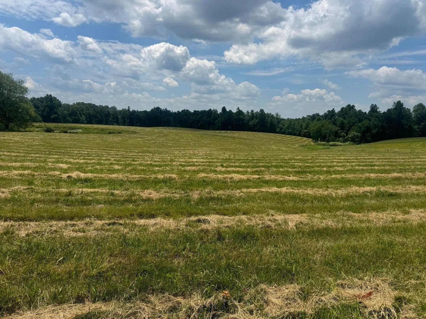 Property from 003 Upper Dry Fork Rd #3 - KW - McKee, Kentucky, 40447