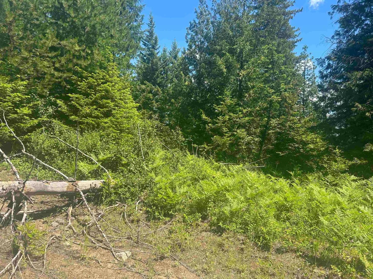 36 Acres of Land for Sale in Cusick, Washington - Cusick, Washington, 99180