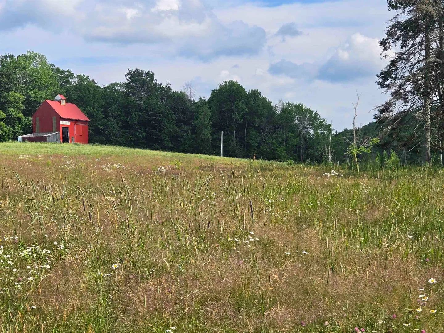 Vacant Land in Groton - Groton, New Hampshire, 03241