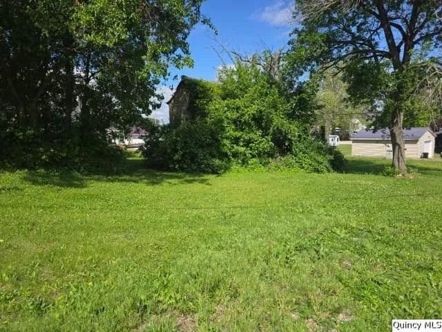 Property from Corner of 4th & Cedar Street - KW - Dallas City, Illinois, 62330