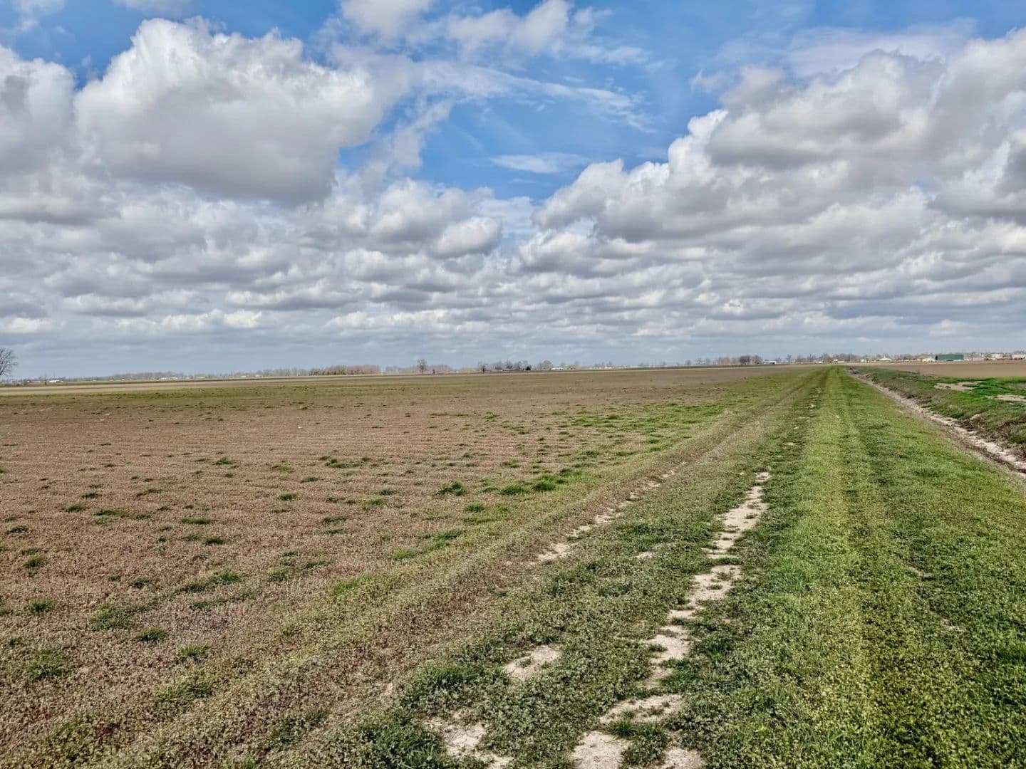 72 Acres in Bolivar County in Cleveland, MS - Cleveland, Mississippi, 38732