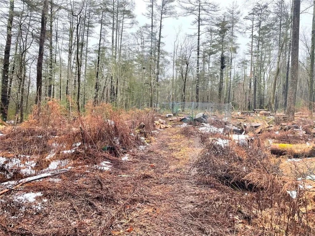 1.1 Acres of Land for Sale in West Shokan, NY - West Shokan, New York, 12461