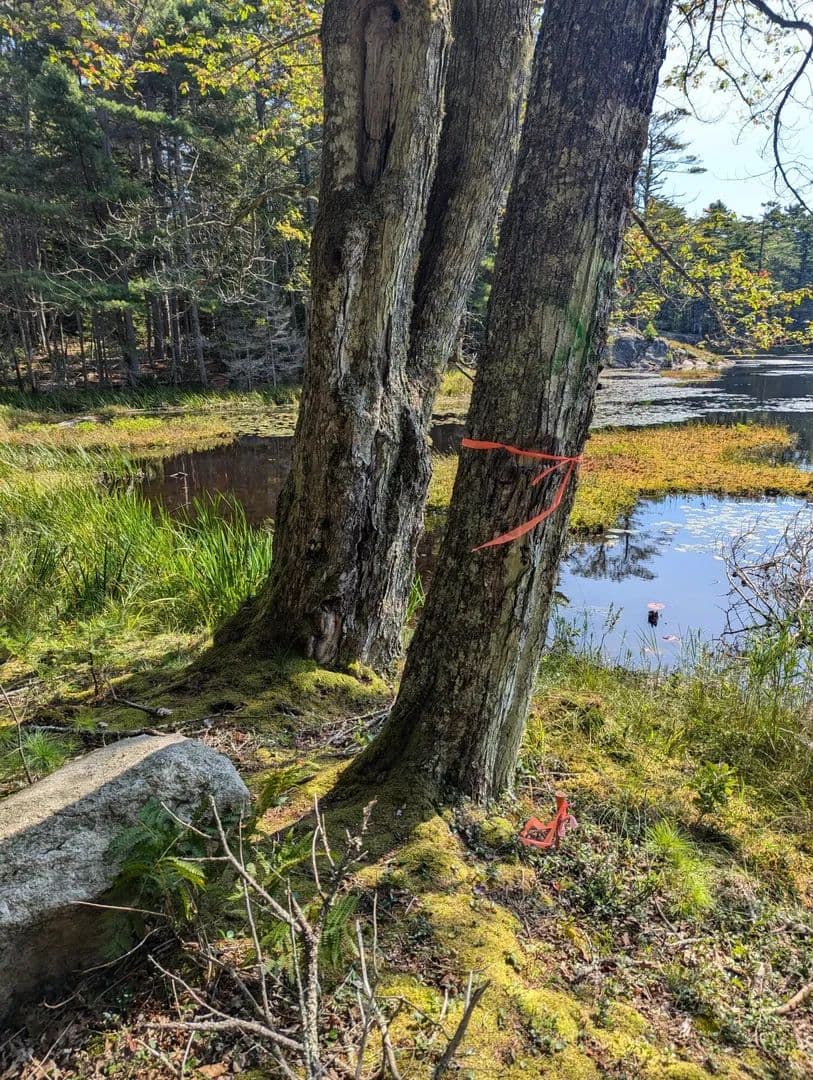 Vacant Land in Westport Island - Maine, 04578