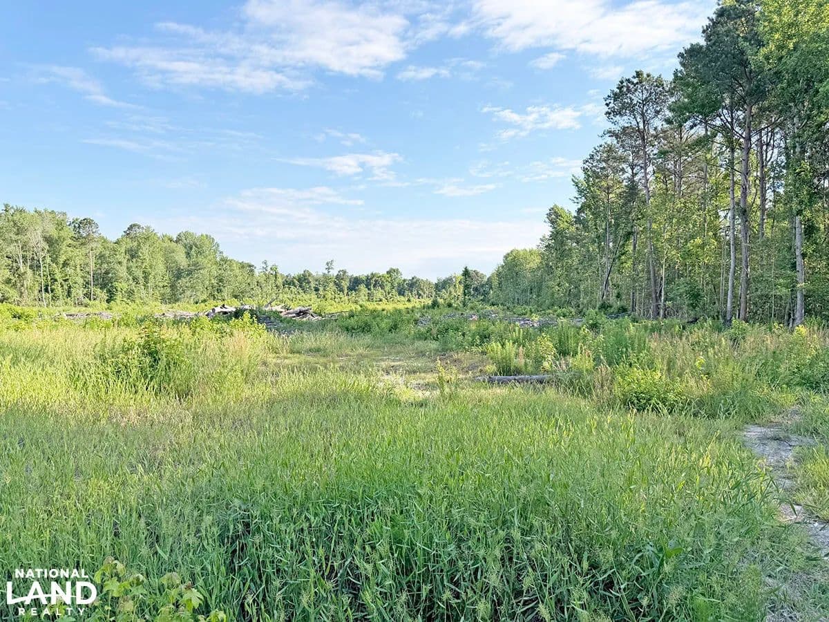 Airport Secluded Homestead Hunting - Bennettsville, South Carolina, 29512