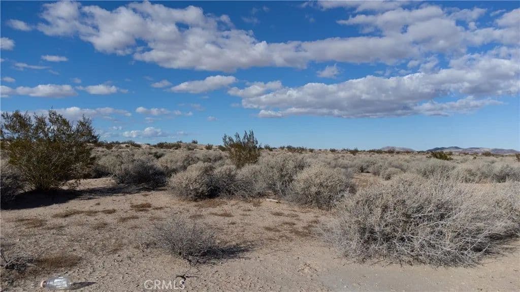 10 Acres of Land for Sale in Newberry Springs, California - Newberry Springs, California, 92365