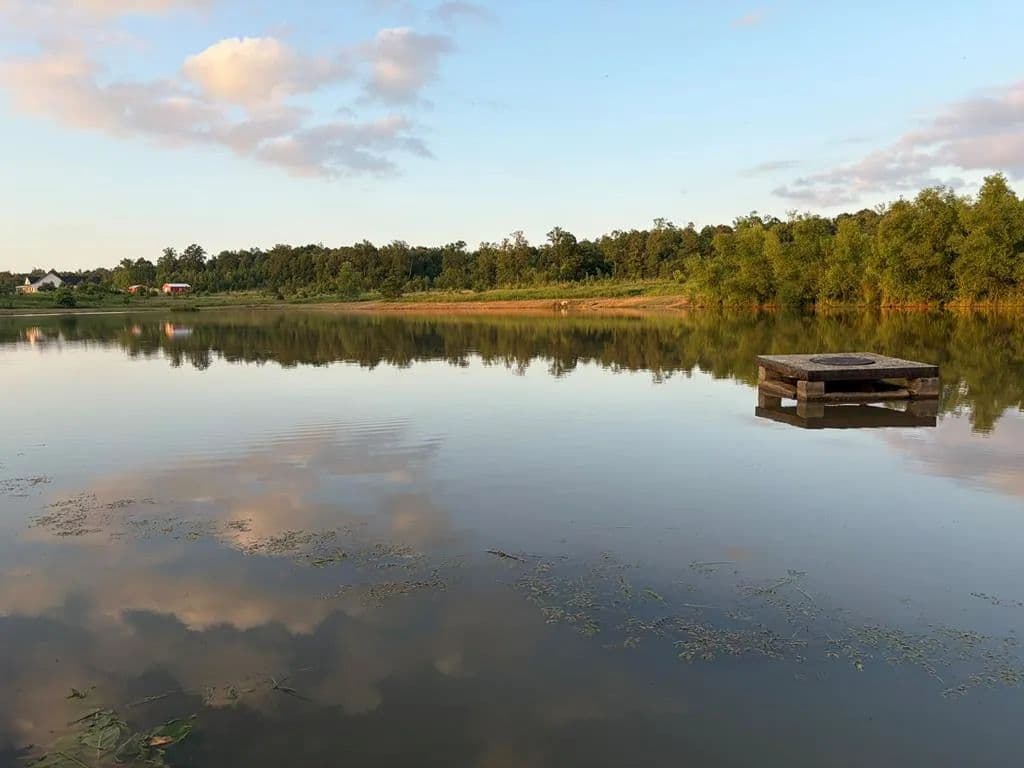 Property from TBD Cr 251 - KW - Oxford, Mississippi, 38655