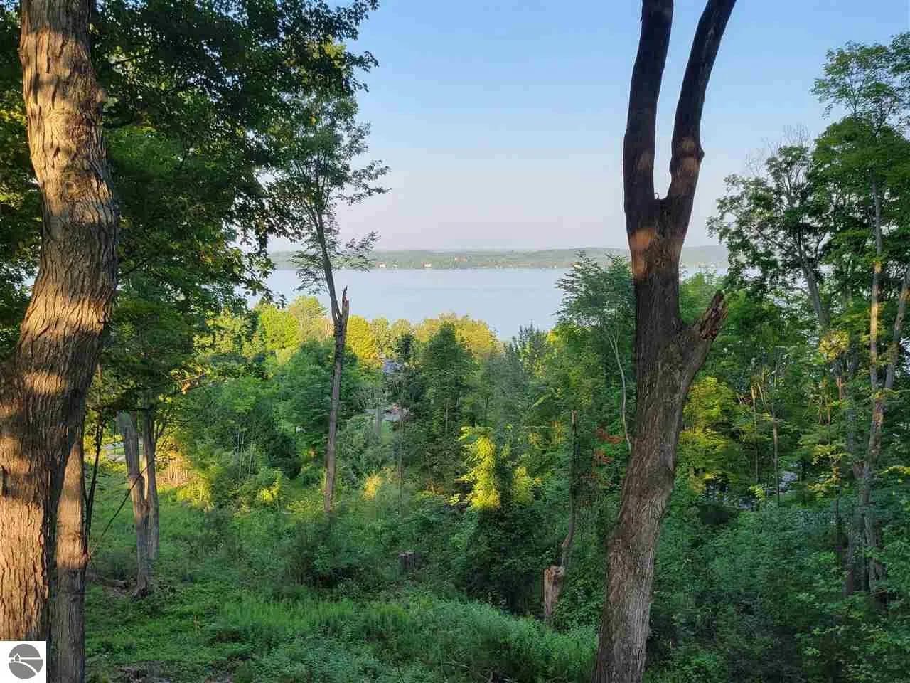 Property from Lot 6 Torch Hills Lane - KW - Rapid City, Michigan, 49676